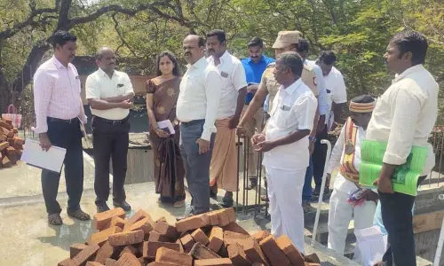 விருத்தாசலம் பகுதியில் வளர்ச்சி திட்ட பணிகளை கலெக்டர் ஆய்வு