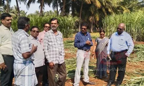 கரும்பு விவசாயிகளுடன் அதிகாரி ஆலோசனை