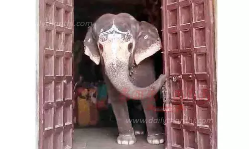 திருவானைக்காவல் கோவில் கதவை தும்பிக்கையால் திறந்த யானை