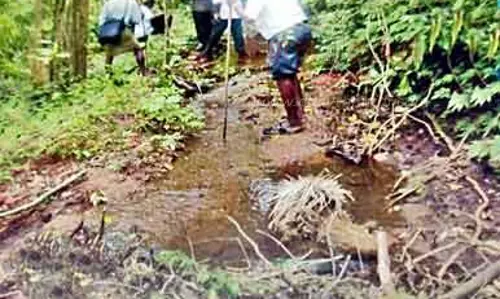 பெரிய ஆட்டுமலை நீரோடையை   சீரமைக்க வேண்டும்