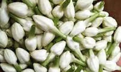 பரமத்திவேலூரில் பூக்கள் விலை உயர்வு பரமத்திவேலூரில் பூக்கள் விலை உயர்வு