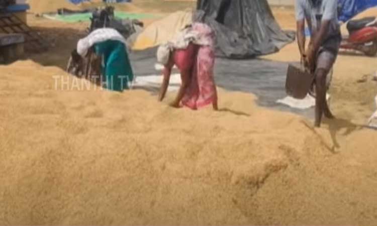 நெல் கொள்முதல் நிலைய முறைகேடு விவகாரம்... தமிழ்நாடு நுகர்பொருள் வாணிபக் கழகம் விடுத்த எச்சரிக்கை