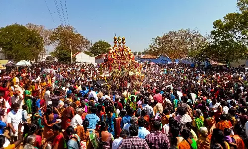 திருமூர்த்திமலை அமணலிங்கேஸ்வரர் கோவிலில் மகா சிவராத்திரி விழா