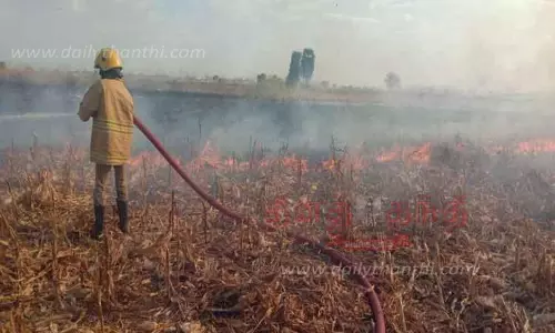 மக்காச்சோளப் பயிரில் தீ