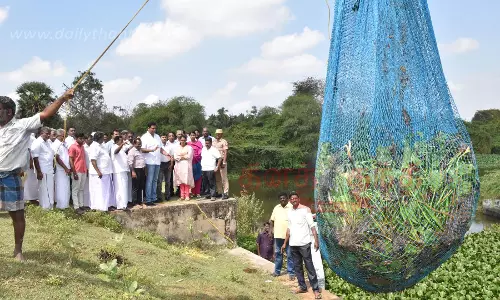ஆகாயத்தாமரை செடிகள் மூலம் இயற்கை உரம் தயாரிக்கப்படும்