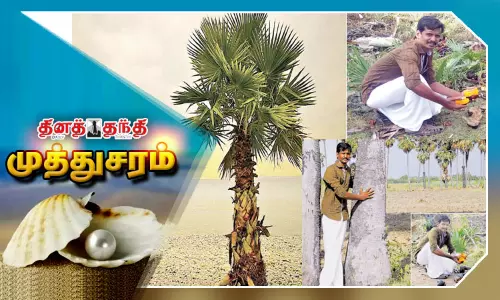 பனை வளர்ப்பில் அசத்தும் பட்டதாரி..!