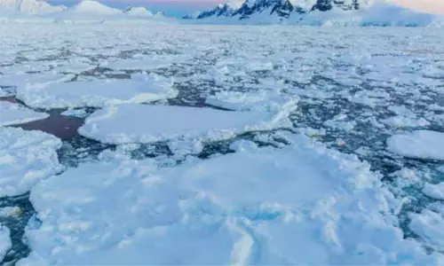 குறைந்து வரும் அண்டார்ட்டிக் கடல் பனி அளவு - எச்சரிக்கும் ஆய்வாளர்கள்! குறைந்து வரும் அண்டார்ட்டிக் கடல் பனி அளவு - எச்சரிக்கும் ஆய்வாளர்கள்!