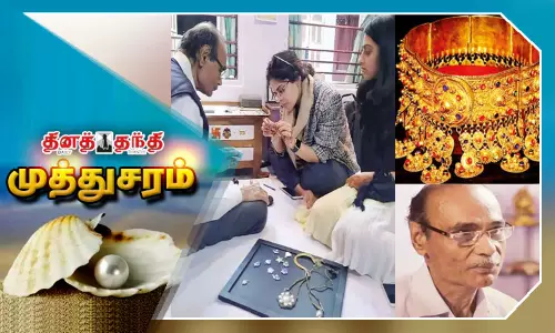 பாரம்பரியமான, மீனாகரி நகை குடும்பம்..!