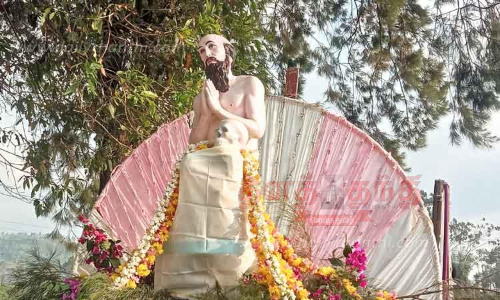 வனத்துச்சின்னப்பர் ஆலய தேர்பவனி