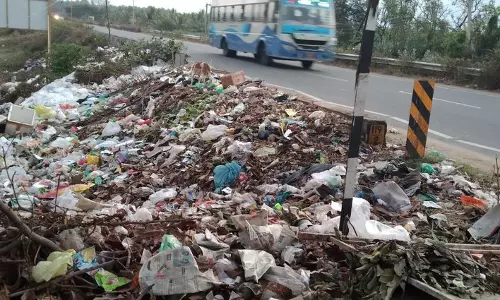 கூடலூர் அருகேசாலையோரம் கொட்டப்படும் குப்பைகளால் நோய் பரவும் அபாயம்