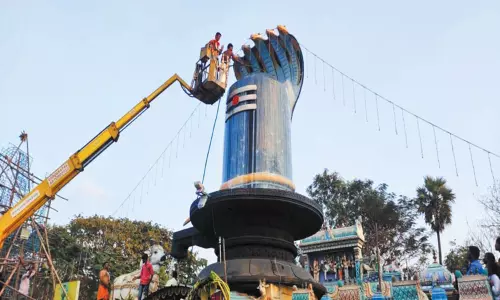 மகாசிவராத்திரியை முன்னிட்டு 41 அடி உயர ராஜலிங்கத்துக்கு பாலாபிஷேகம்