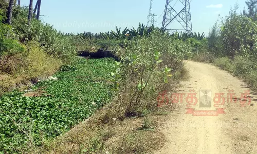 மோகனூர் வாய்க்கால் கரையில் தார்சாலை அமைக்கப்படுமா?