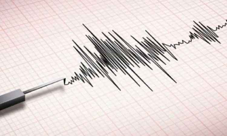 இமாச்சல பிரதேசத்தில் நிலநடுக்கம் - ரிக்டர் அளவில் 3.6 ஆக பதிவு