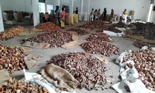 கொப்பரை விலை கிலோவுக்கு ரூ.2.25 குறைந்தது