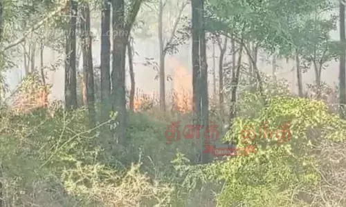 இறையூர் காட்டில் திடீர் தீ