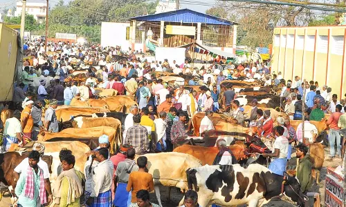 பொய்கை வாரச்சந்தையில் ரூ.2 கோடிக்கு வர்த்தகம் பொய்கை வாரச்சந்தையில் ரூ.2 கோடிக்கு வர்த்தகம்