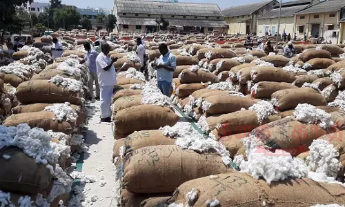 ரூ.1½ கோடிக்கு பருத்தி ஏலம்