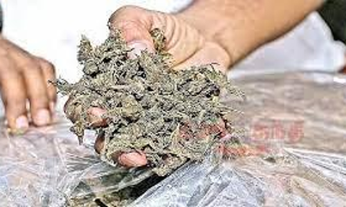 கஞ்சா வைத்திருந்த வாலிபர் கைது