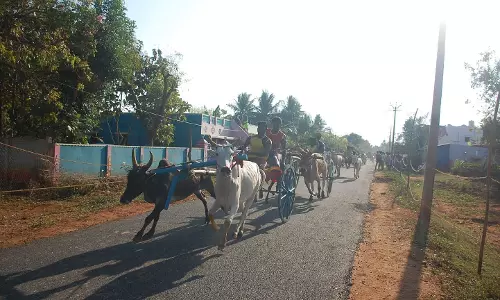மாட்டு வண்டி எல்கை பந்தயம்
