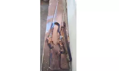 நாட்டு துப்பாக்கிகளால் பறவைகளை வேட்டையாடிய 3 பேர் கைது