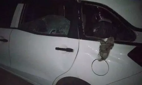 காரை சேதப்படுத்திய காட்டு யானை