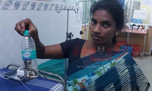 மகனை கடித்த பாம்பை உயிருடன் கொண்டு வந்த தாய்