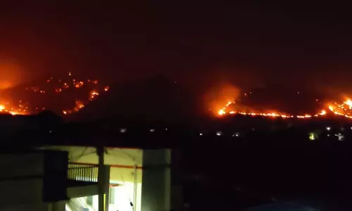 சருவ மலையில் பயங்கர தீ