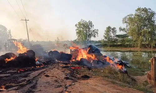 வைக்கோல் கட்டுகள் தீயில் எரிந்து நாசம்