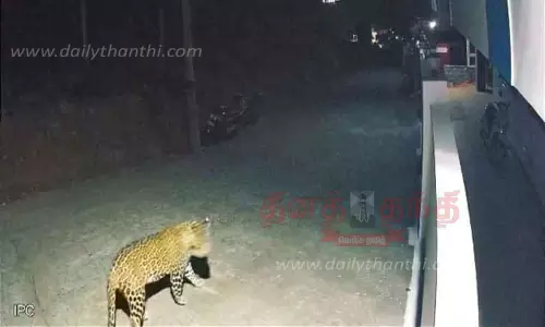 கோத்தகிரி அருகே சாலையில் உலா வந்த சிறுத்தை-பொதுமக்கள் அச்சம்