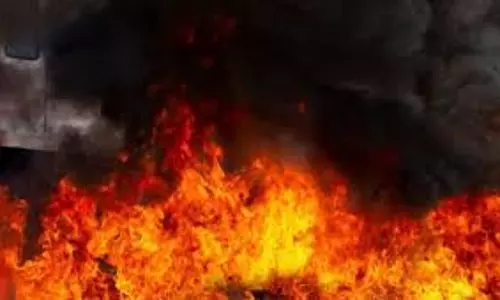 லோக்கூர் அருகேரெயில் பாதையை ஒட்டிய வனப்பகுதியில் திடீர் தீதீயணைப்பு படையினர் போராடி அணைத்தனர்