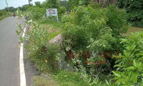 சேதமடைந்த பாசன வாய்க்கால் மதகு சீரமைக்கப்படுமா?