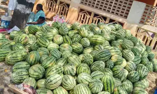 தர்பூசணி விற்பனை அமோகம்