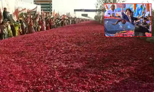 சத்தீஷ்கார்:  பல மீட்டர் தூரம் ரோஜா இதழ்களை தூவி பிரியங்கா காந்தி, காங்கிரஸ் தலைவர்களுக்கு வரவேற்பு