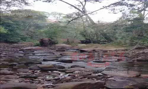 ரேடியோ காலர் மூலம் மக்னா யானை தொடர் கண்காணிப்பு