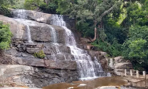 மேகமலை அருவியில் நீர்வரத்து குறைந்தது