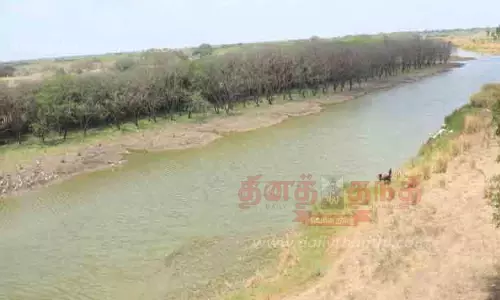 தேர்த்தங்கல் சரணாலயத்தில் பறவைகள் வராததால் கிராம மக்கள் ஏமாற்றம்