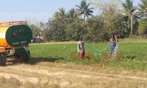 ஆலங்குடியில் போதிய மழை பெய்யாததால் தண்ணீரை விலைக்கு வாங்கி பயிர்களுக்கு பாய்ச்சும் அவலம்