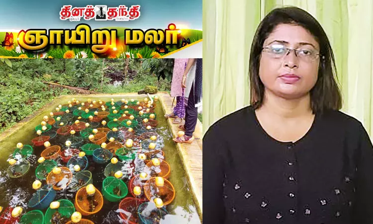முத்து வளர்ப்பில் லாபம் கொழிக்கும் பெண்மணி முத்து வளர்ப்பில் லாபம் கொழிக்கும் பெண்மணி