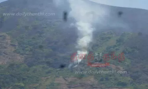 பற்றி எரிந்த காட்டுத்தீ; செடி, கொடிகள் எரிந்து நாசம்