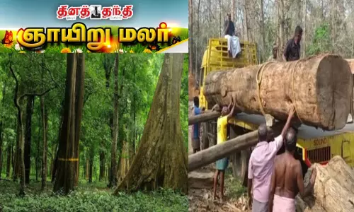 ரூ.40 லட்சத்துக்கு ஏலம் போன 114 ஆண்டுகள் பழமையான தேக்கு மரம்