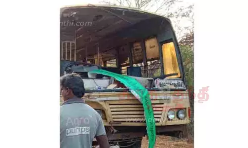 காட்டெருமைகள் மோதியதில் அரசு பஸ் கண்ணாடி உடைந்தது