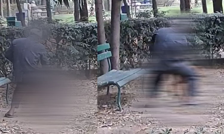 அடப்பாவிகளா...!  நாயை கூட விட்டு வைக்காத காமக்கொடூரன்...வெளியான அதிர்ச்சி வீடியோ..!