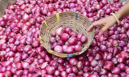 வெங்காய ஏற்றுமதிக்கு எந்த தடையும் விதிக்கவில்லை - மத்திய வா்த்தக அமைச்சகம் தகவல்