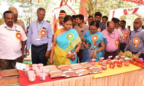 தர்மபுரி மாவட்டத்தில்தரமான சிறுதானியங்கள் கிடைக்கும் நிலையை உருவாக்க வேண்டும்வேளாண் துறை கருத்தரங்கில் கலெக்டர் சாந்தி பேச்சு தர்மபுரி மாவட்டத்தில்தரமான சிறுதானியங்கள் கிடைக்கும் நிலையை உருவாக்க வேண்டும்வேளாண் துறை கருத்தரங்கில் கலெக்டர் சாந்தி பேச்சு
