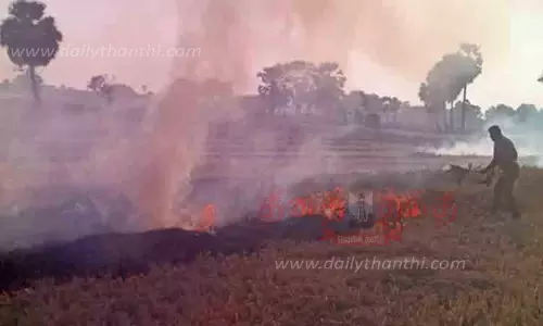 அறுவடை செய்த நெல் வயல்களில் தீப்பிடித்தது