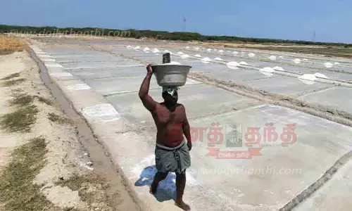 சீசன் தொடங்கியும் பாத்திகளில் உப்பு உற்பத்தி குறைவு -தொழிலாளர்கள் ஏமாற்றம்