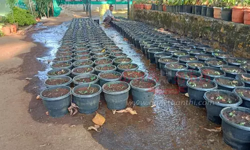 ஏற்காட்டில் கோடை விழா ஏற்பாடுகள் தொடக்கம்