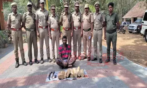 சந்தன மரத்தை வெட்டி கடத்தியவர் கைது