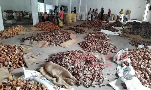 கொப்பரை விலை கிலோவுக்கு ரூ.1 அதிகரிப்பு