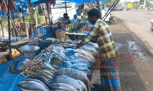 மீன்கள் விலை உயர்வு;1 கிலோ வஞ்சிரம் ரூ.800-க்கு விற்பனை மீன்கள் விலை உயர்வு;1 கிலோ வஞ்சிரம் ரூ.800-க்கு விற்பனை